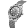 omega seamaster diver 300m omega seamaster diver 300m